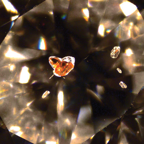 Flawed But Beautiful: Why Gemologists Love Diamond Inclusions - Rapaport