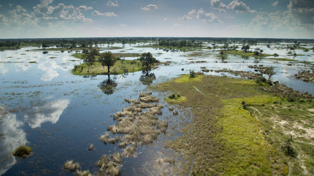Okavango Delta image