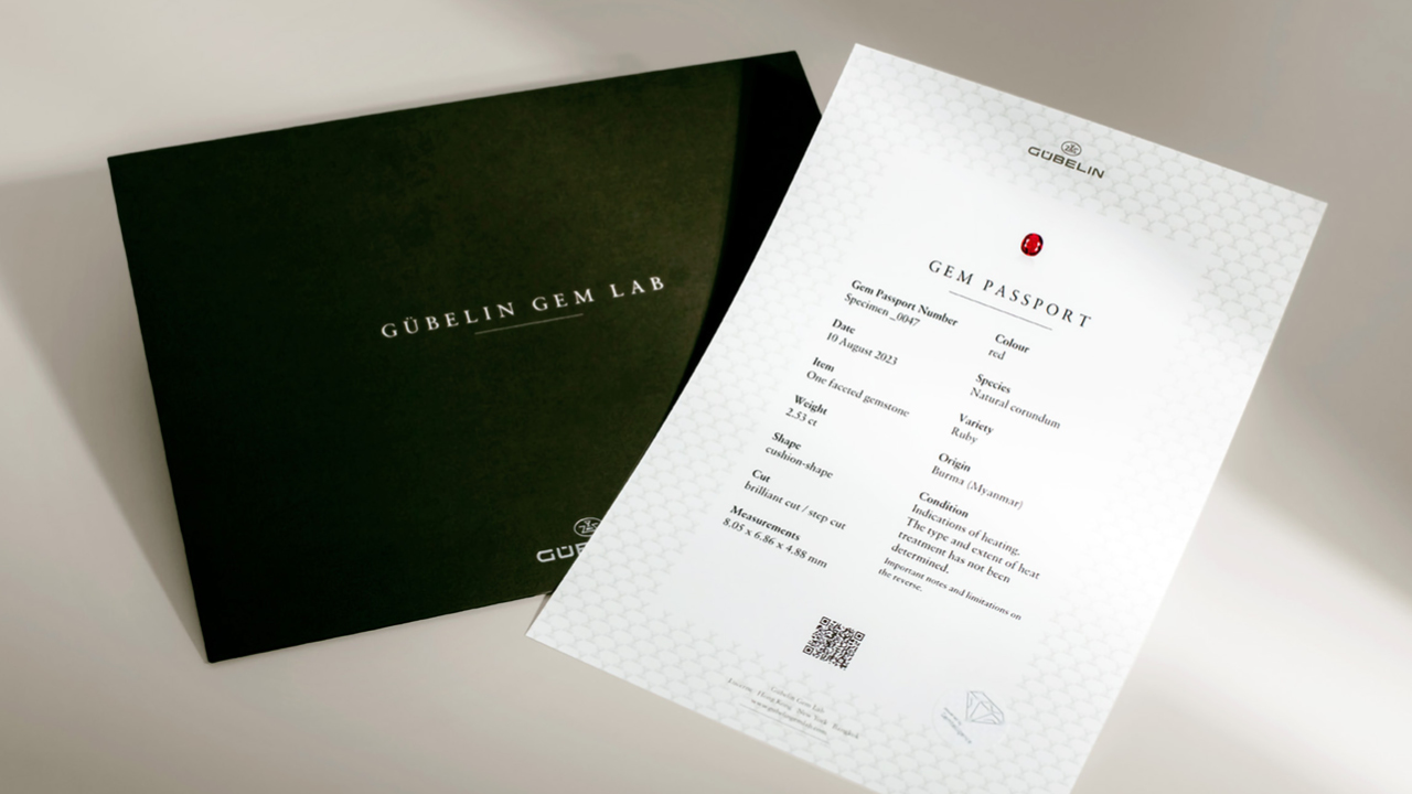 Image Of The Gem Passport