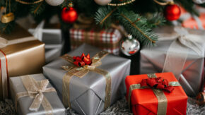 Holiday presents under tree image