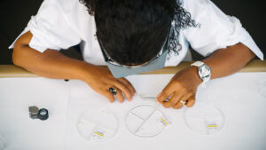 A Namdeb employee sorting rough diamonds image
