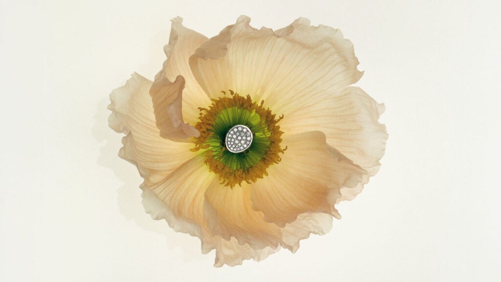Guzema Fine Jewelry ring from Ukrainian Jewelry image