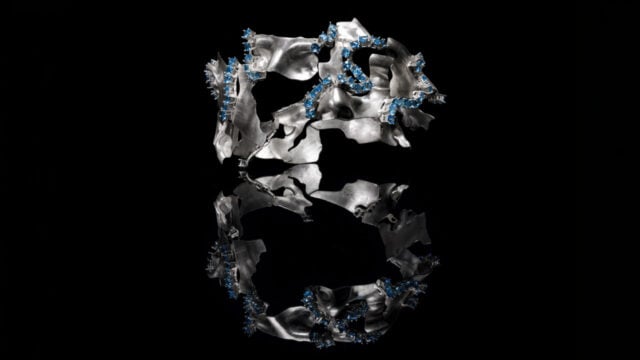 Rendering by Yaling Wang from the SCAD jewelry program image