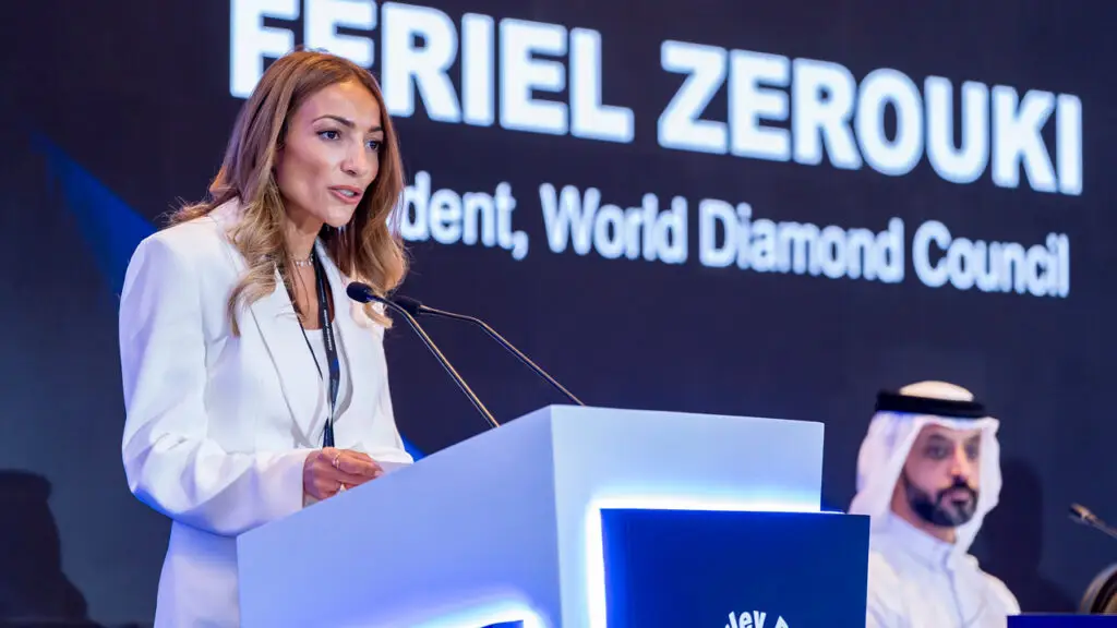 WDC president speaks at the KP Intersessional in Dubai image