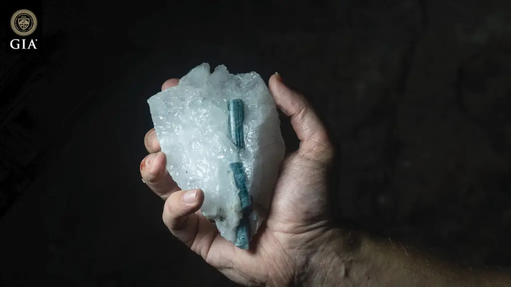 GIA image from video
