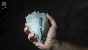 GIA image from video