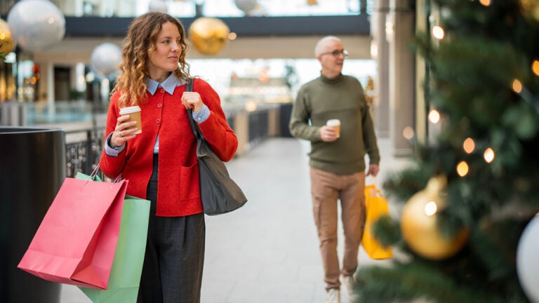 Holiday shopping image