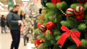 People shopping at a mall for the holidays image