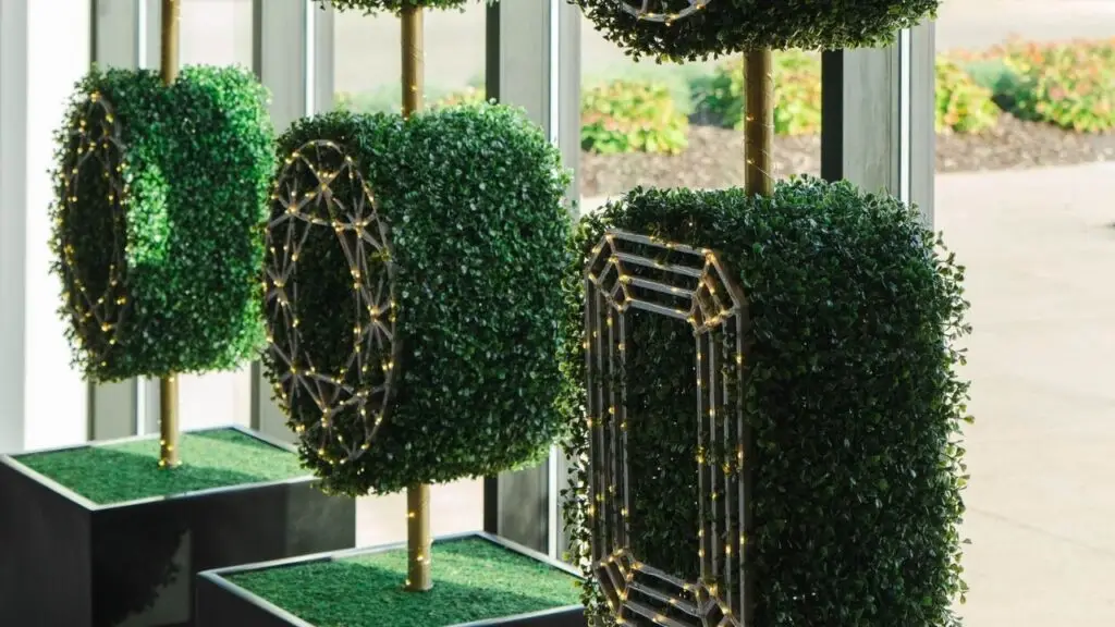 Diamond-shaped topiary in the window at Kesslers Diamonds in Grand Rapids Michigan image
