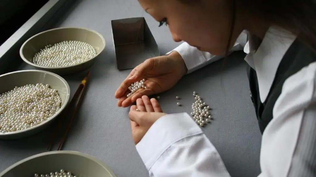A woman sorting akoya pearls image