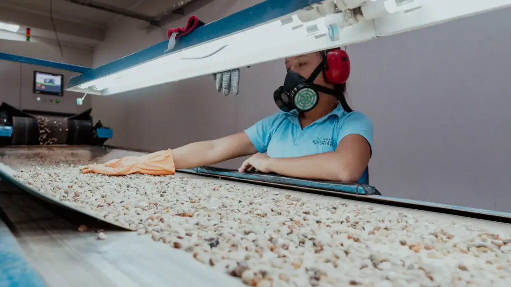 Paraiba tourmaline sorting facility image